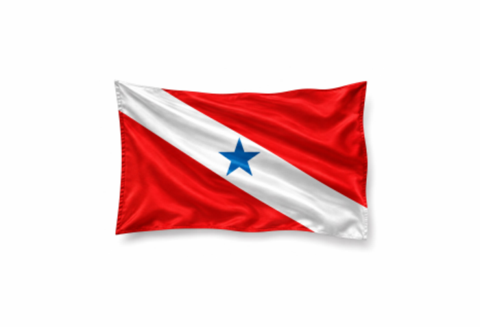 Bandeira do Pará